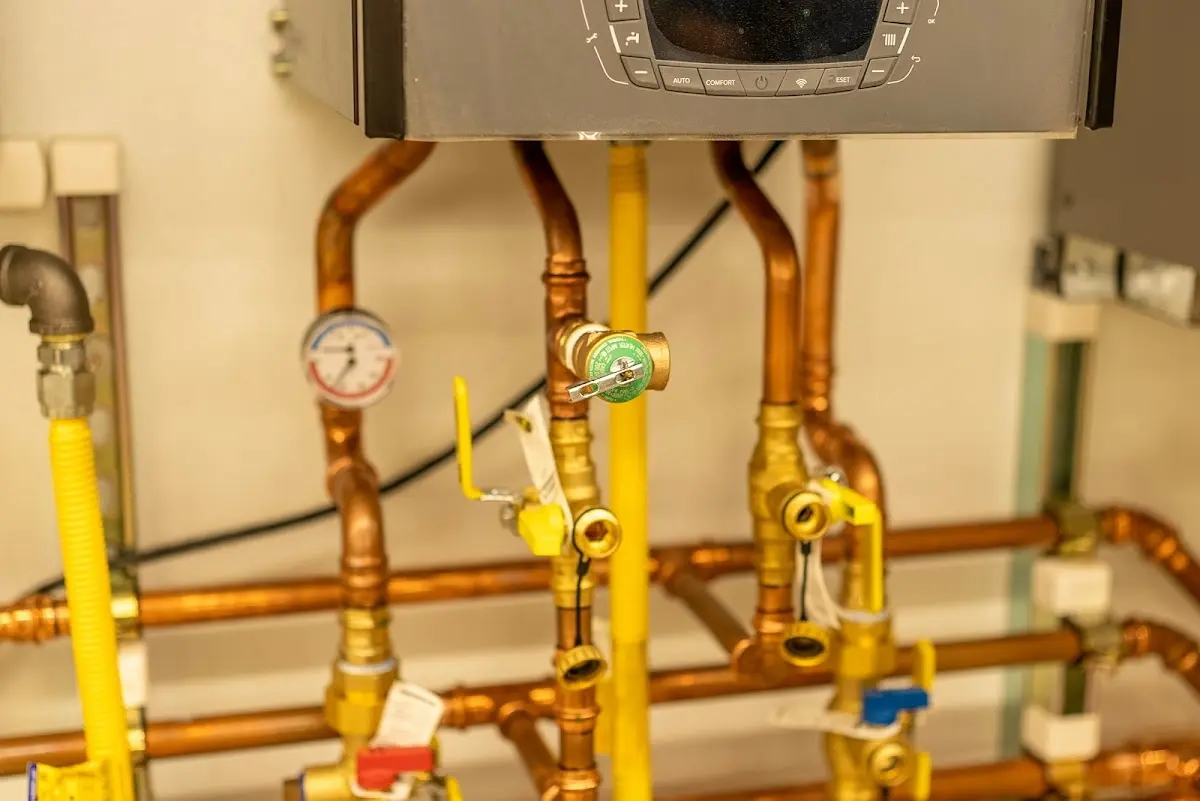 Licensed technician providing Emergency Plumbing for a homeowner in Daleville